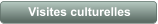 Visites culturelles