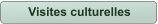 Visites culturelles