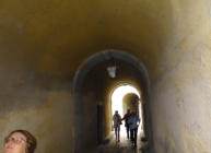 Allée couverte