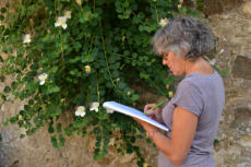 Bolano, le troisi�me jour