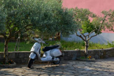 La vespa, patrimoine italien!